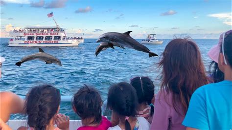 dolphin dinner cruise near me.